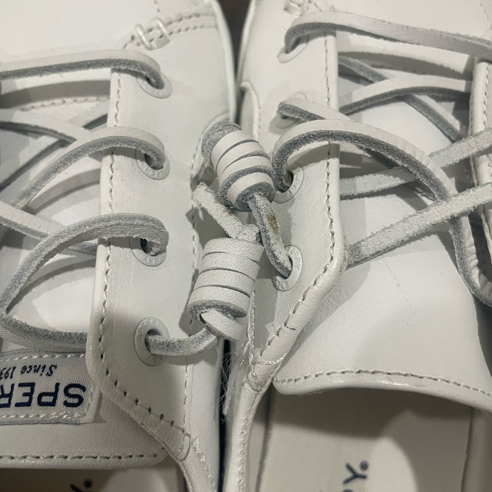 Sperry Blue and White Canvas Sneakers with Layered Sole - Picture 3 of 4